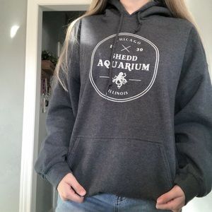 Chicago Illinois shed aquarium hoodie